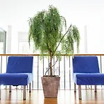Bcn Urbaness Del Comte Hotel 2*
