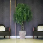 Bcn Urbaness Del Comte Hotel 2*