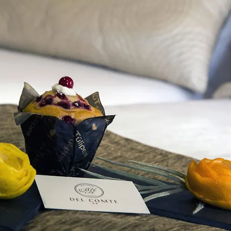 Bcn Urbaness Del Comte