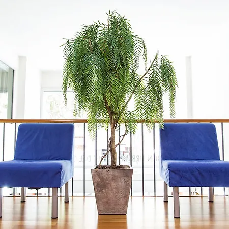 Bcn Urbaness Del Comte Hotel 2*